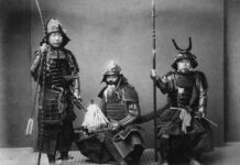 A History of Violence